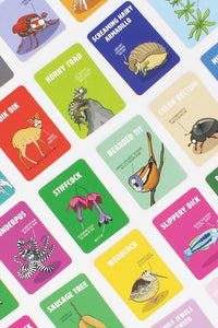 Don't Be A Dik Dik
