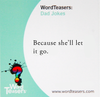Wordteasers - Dad Jokes