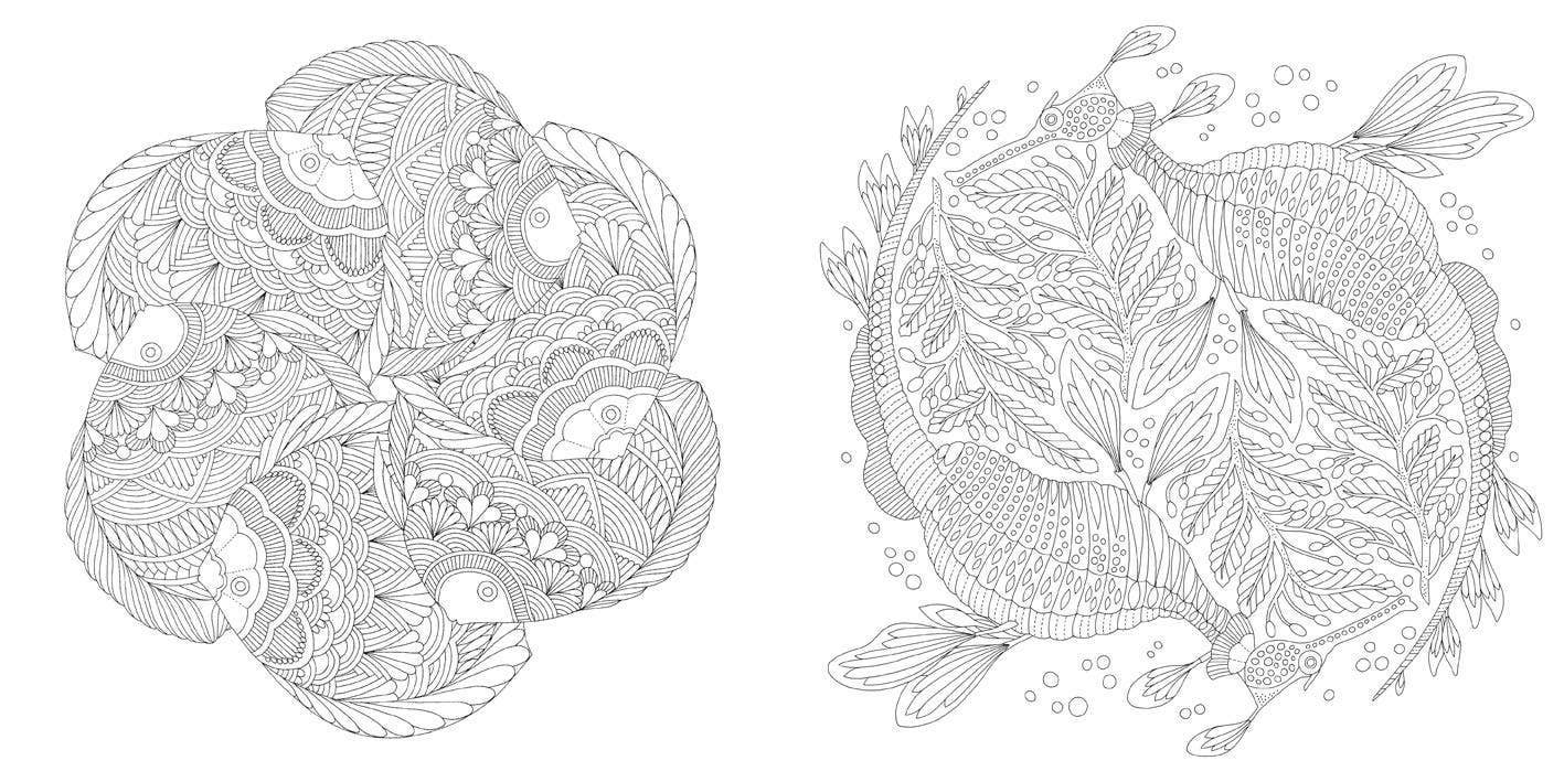 Millie Marotta's Wildlife Wonders Coloring Book