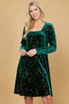 Celestial Green Velvet Dress