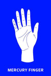 Palmistry Flashcards