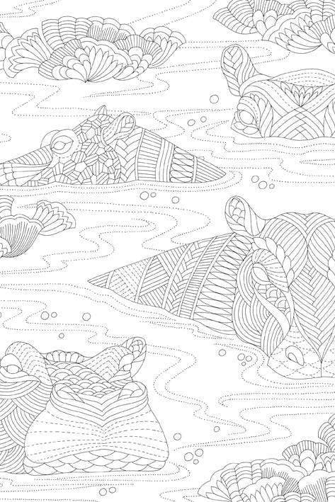 Millie Marotta's Wildlife Wonders Coloring Book