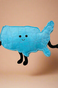 A blue plush pillow of the continental USA. It has arms, legs, and smiling face.