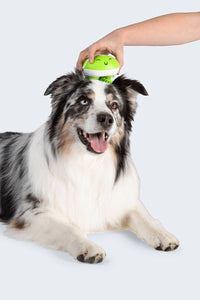 Paws & Relax: The Ultimate Electronic Pet Massager