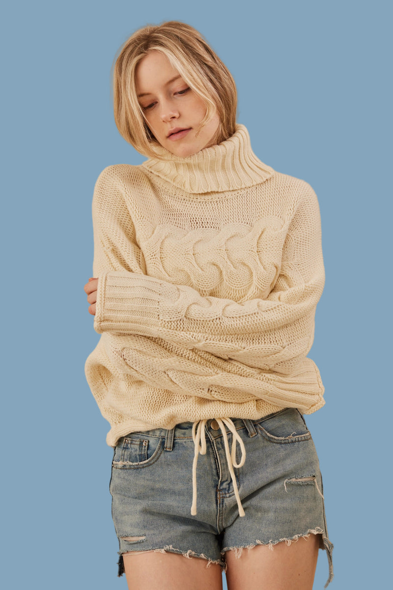 Turtle Neck Cropped Knit Sweater - Ivory