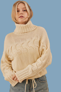 Turtle Neck Cropped Knit Sweater - Ivory