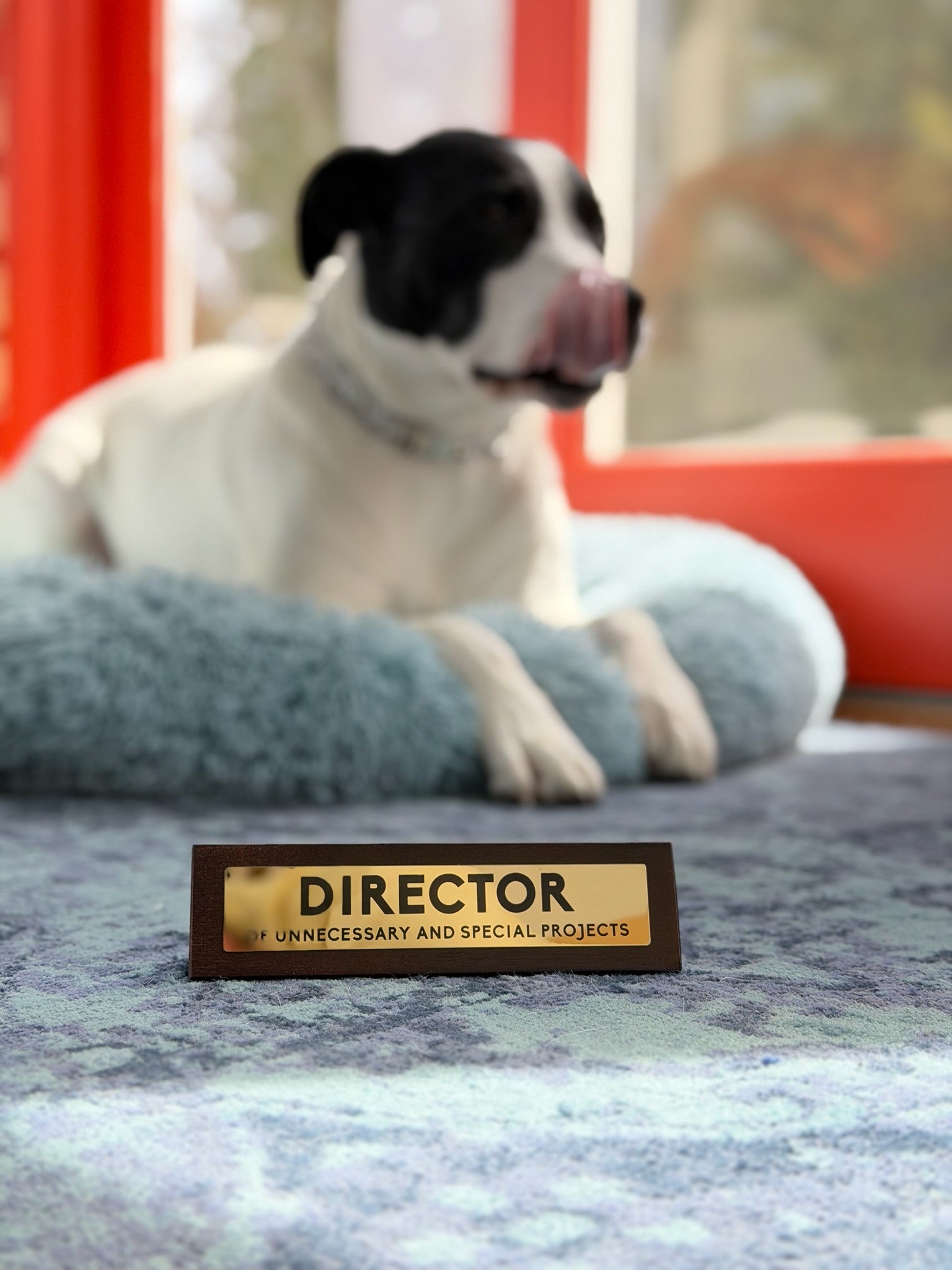Director Wooden Desk Sign