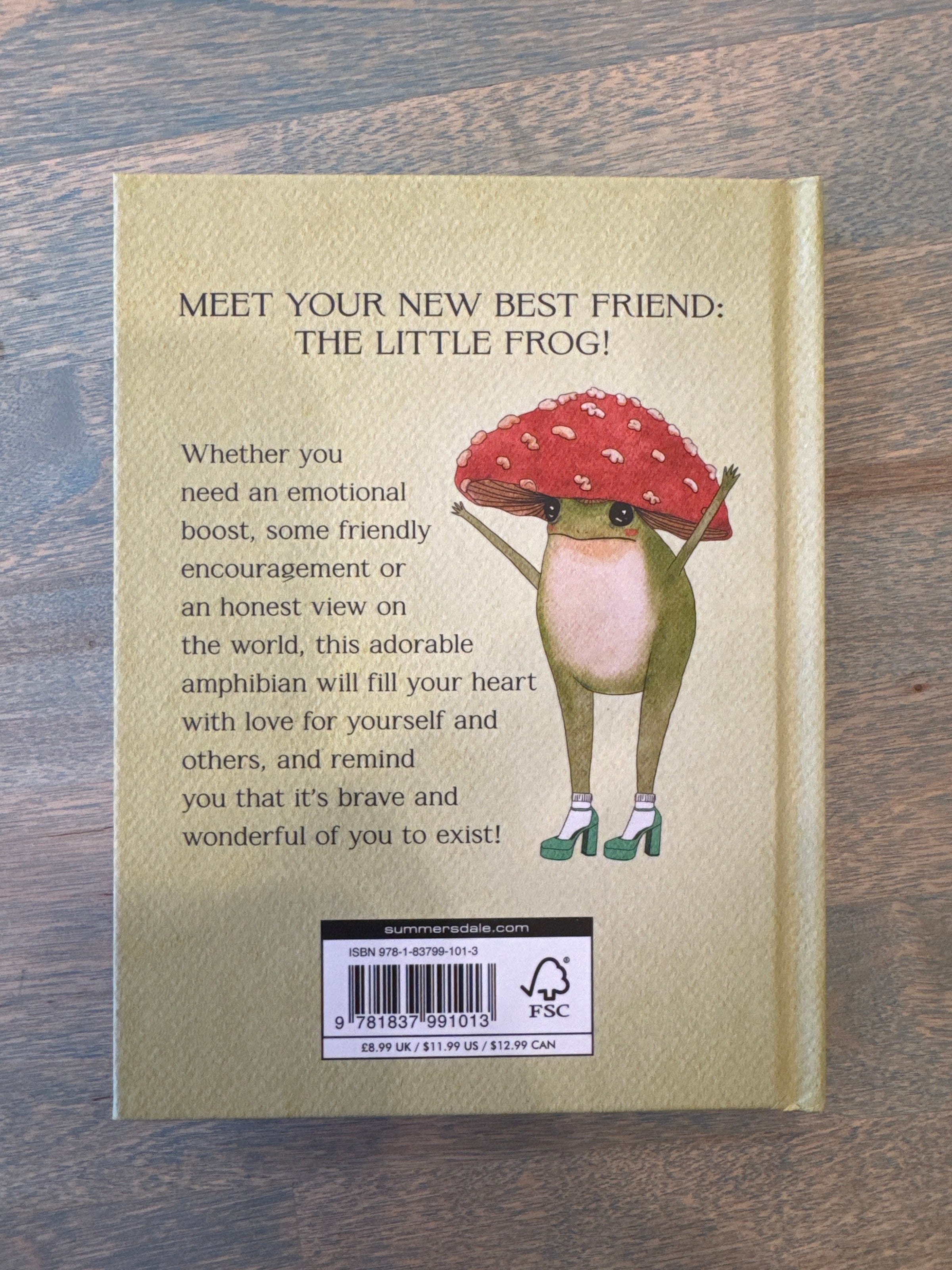 The Little Frog's Guide to Self-Care