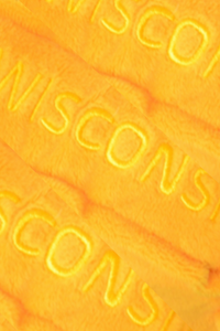 Wisconsin State Stuffed Plush - Cheddar