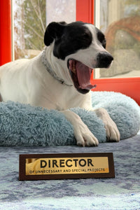 Director Wooden Desk Sign