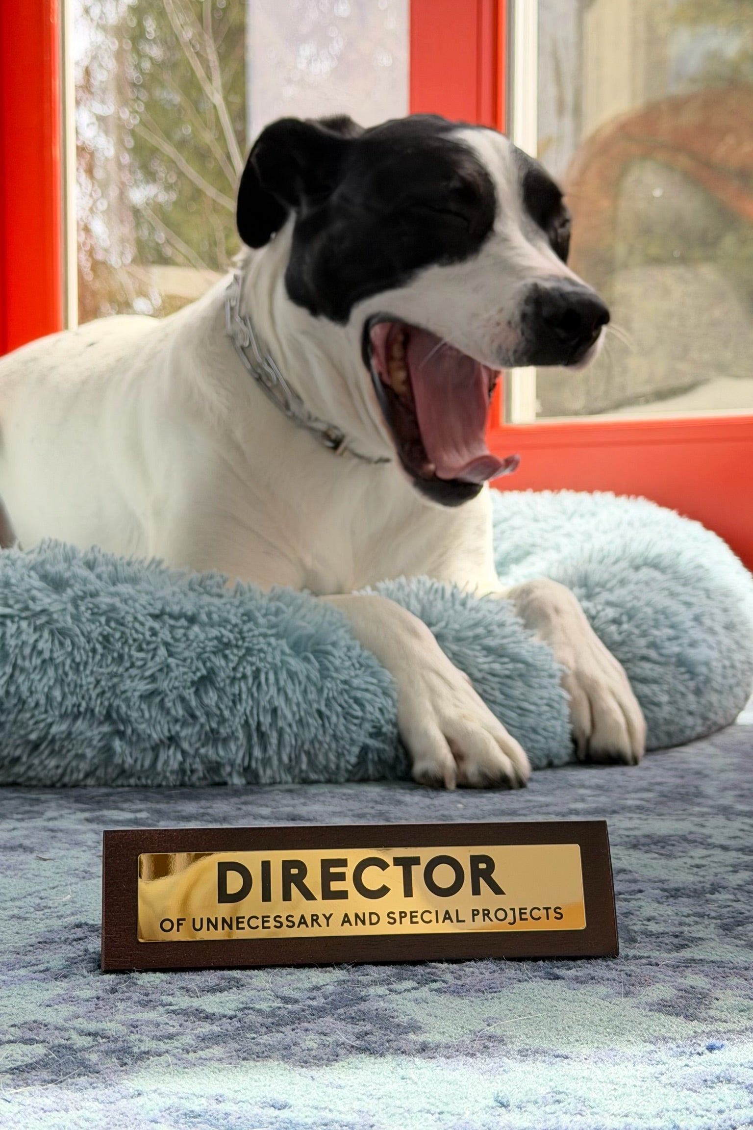 Director Wooden Desk Sign