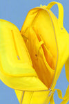 Monochrome Yellow Backpack