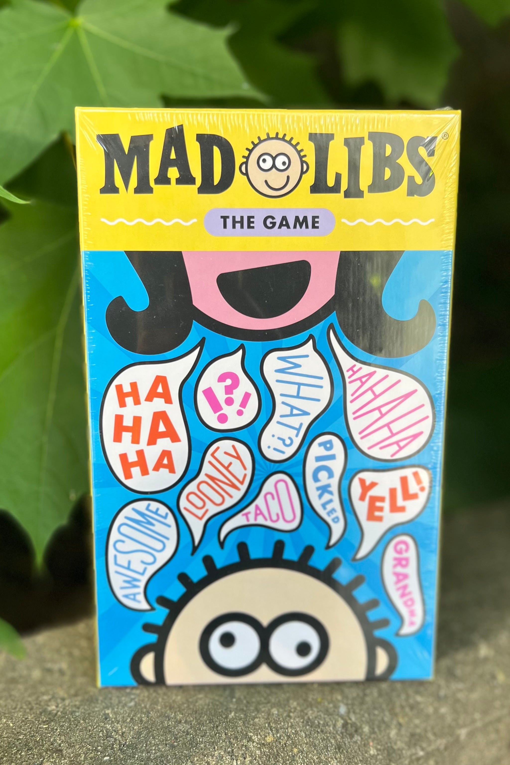 Mad Libs: The Game Multi Player Kids Gift Funny Fun Cards Learning – Spot