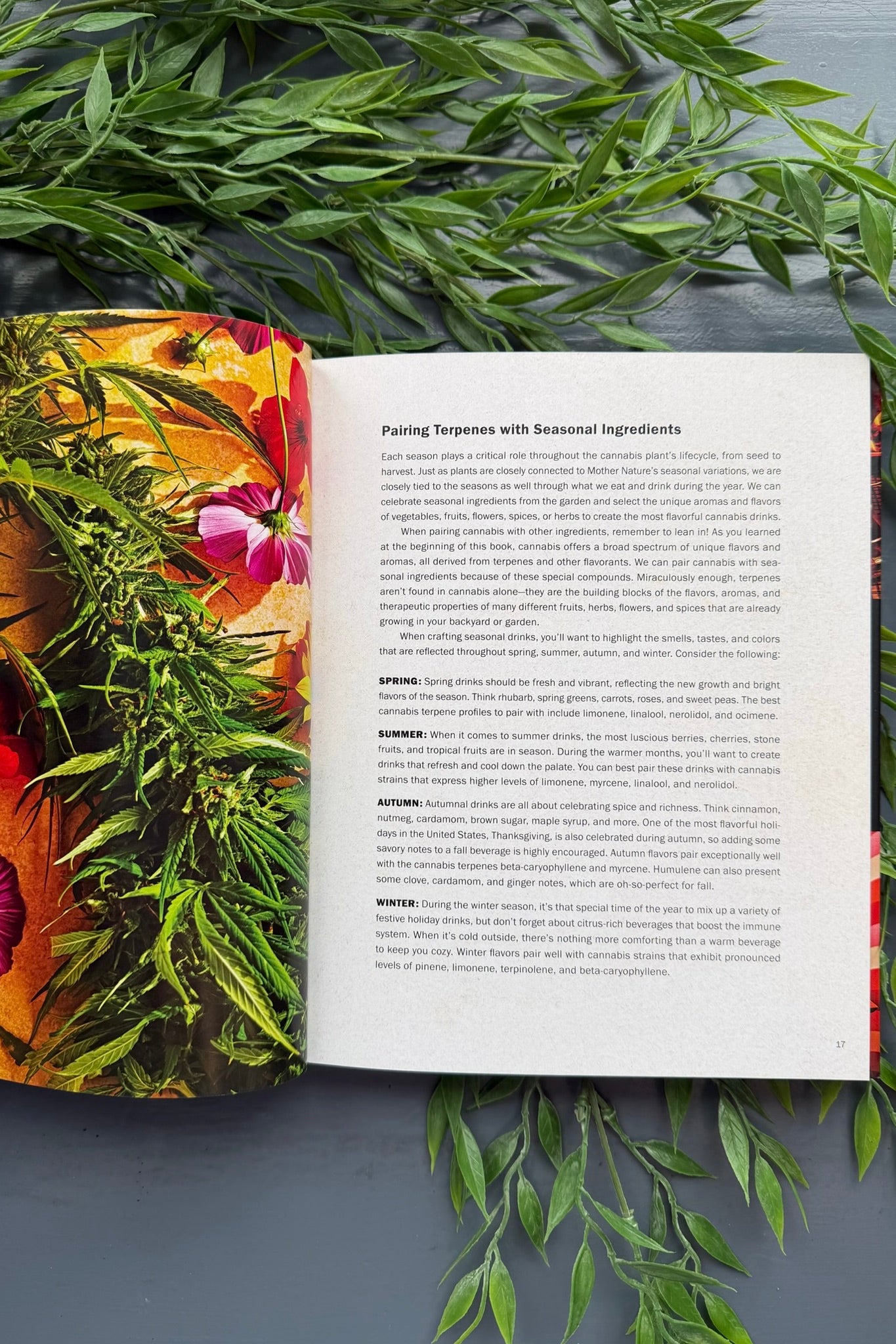 High Times: Cannabis Cocktails