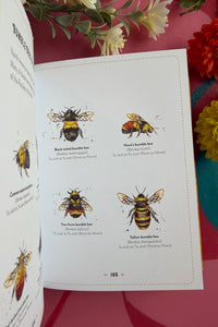 Little Book of Bees