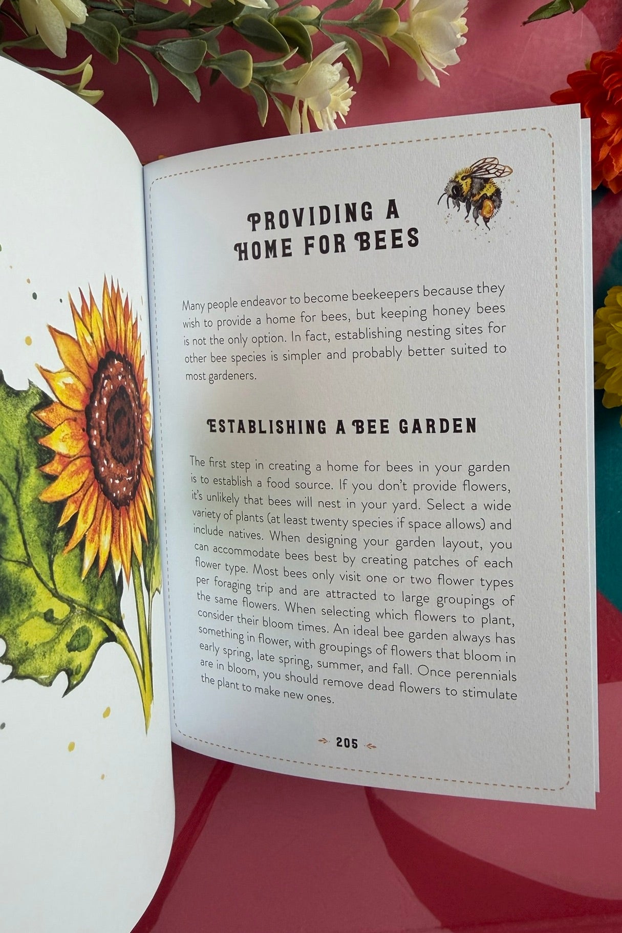 Little Book of Bees