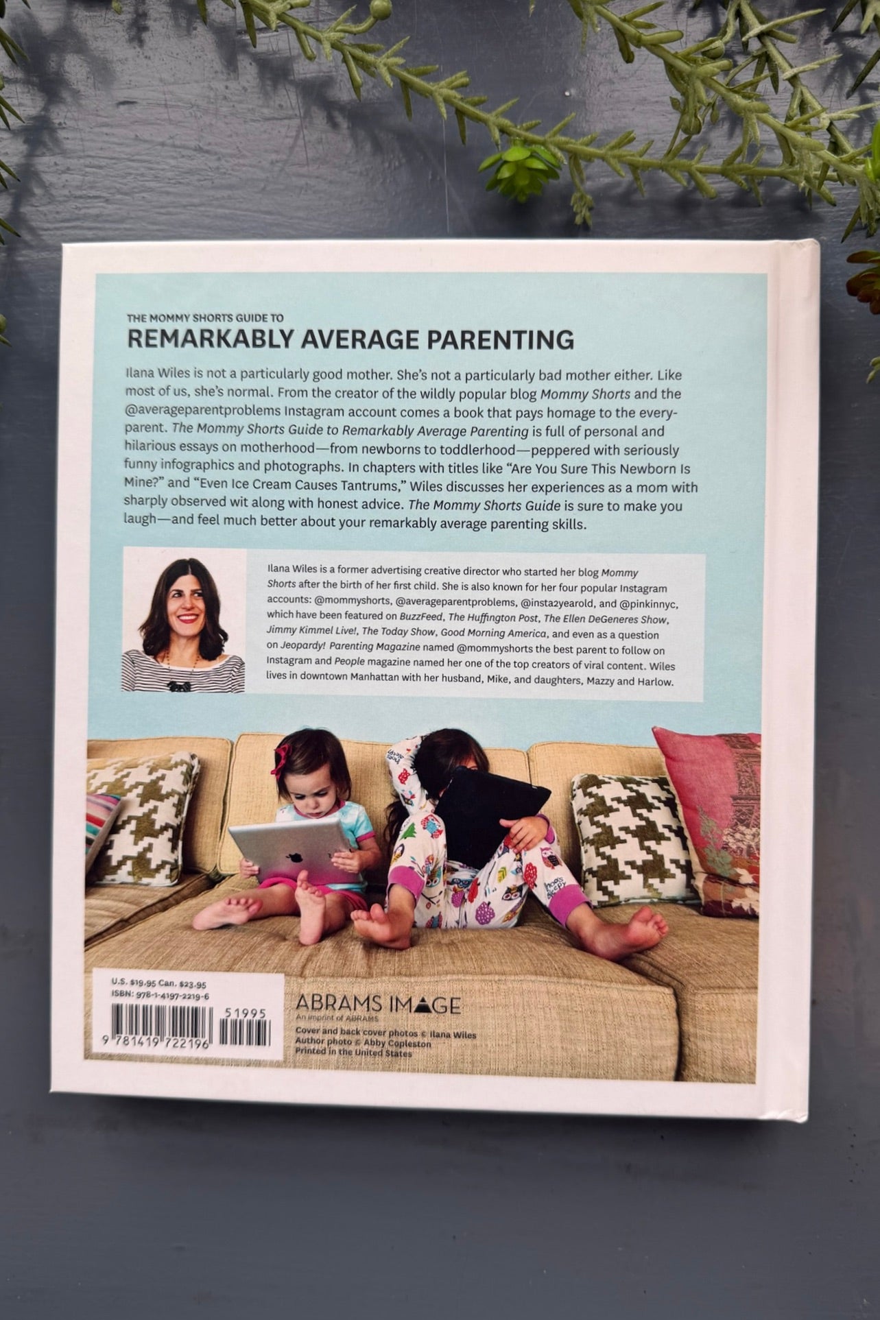 The Mommy Shorts Guide to Remarkably Average Parenting