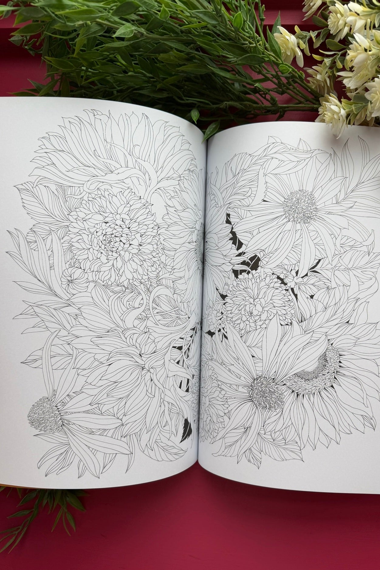 Leila Duly's Beautiful Planet