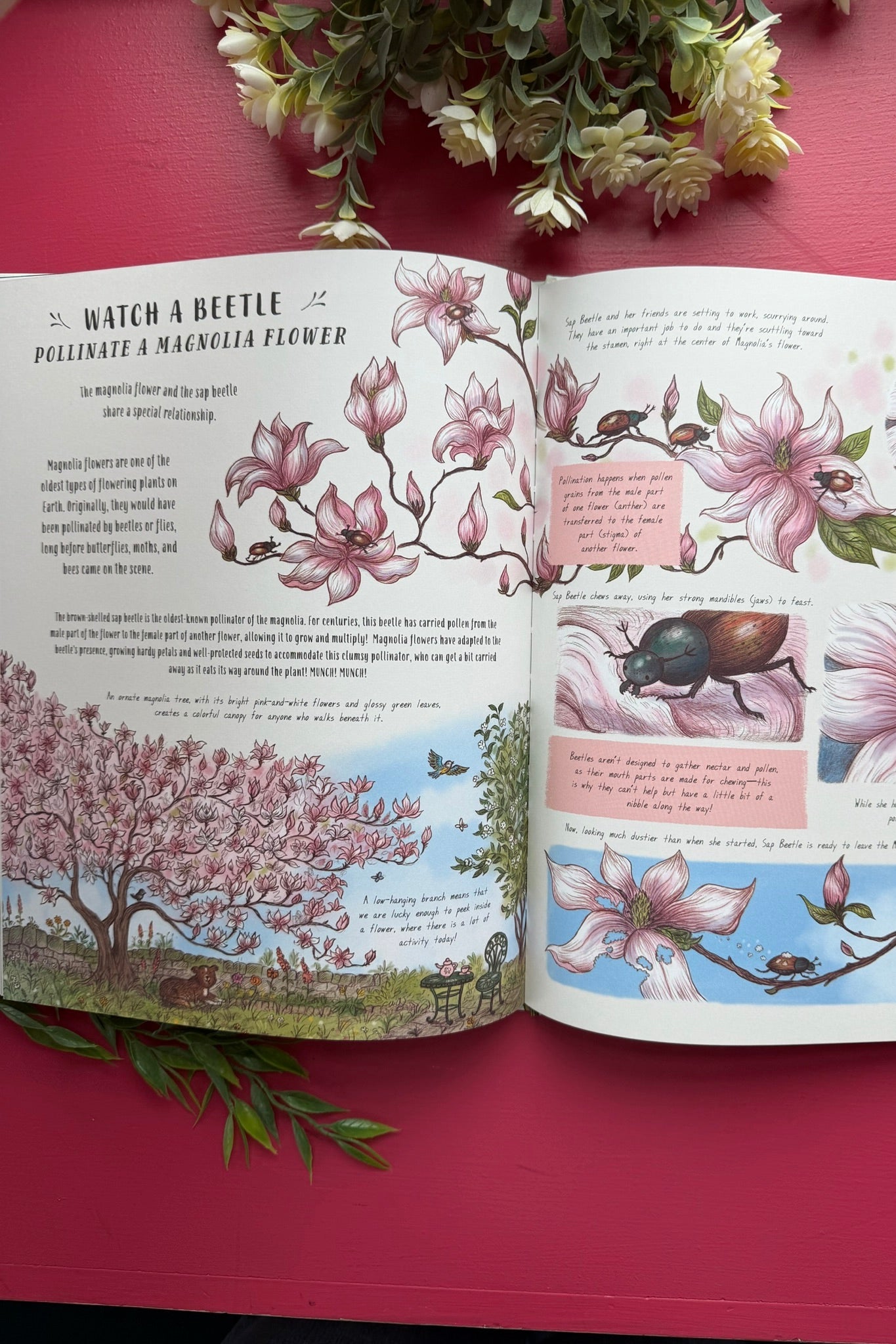 Slow Down and Be Here Now