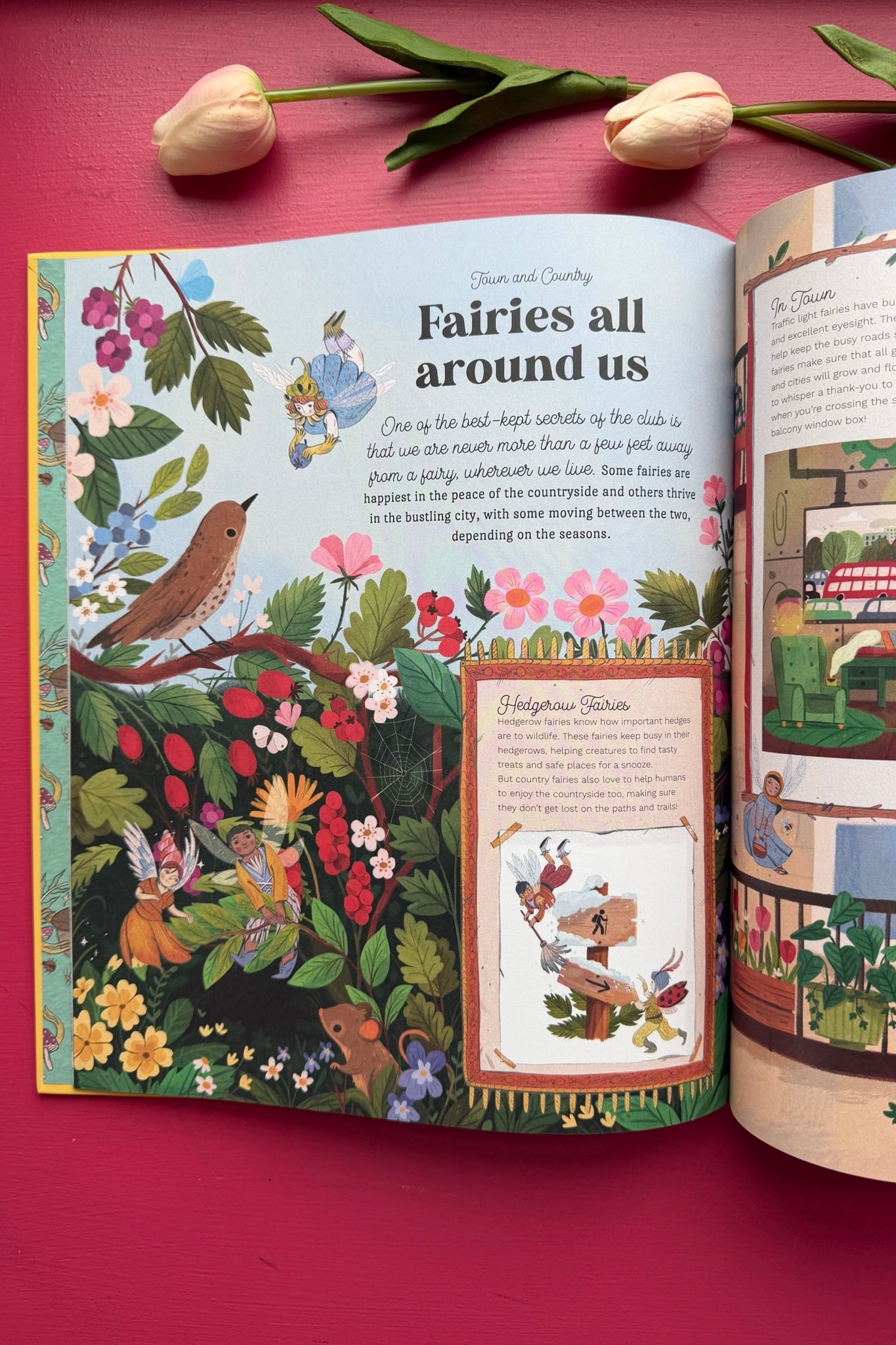 The Secret Fairy Club: Discover a Hidden Book Within a Book!