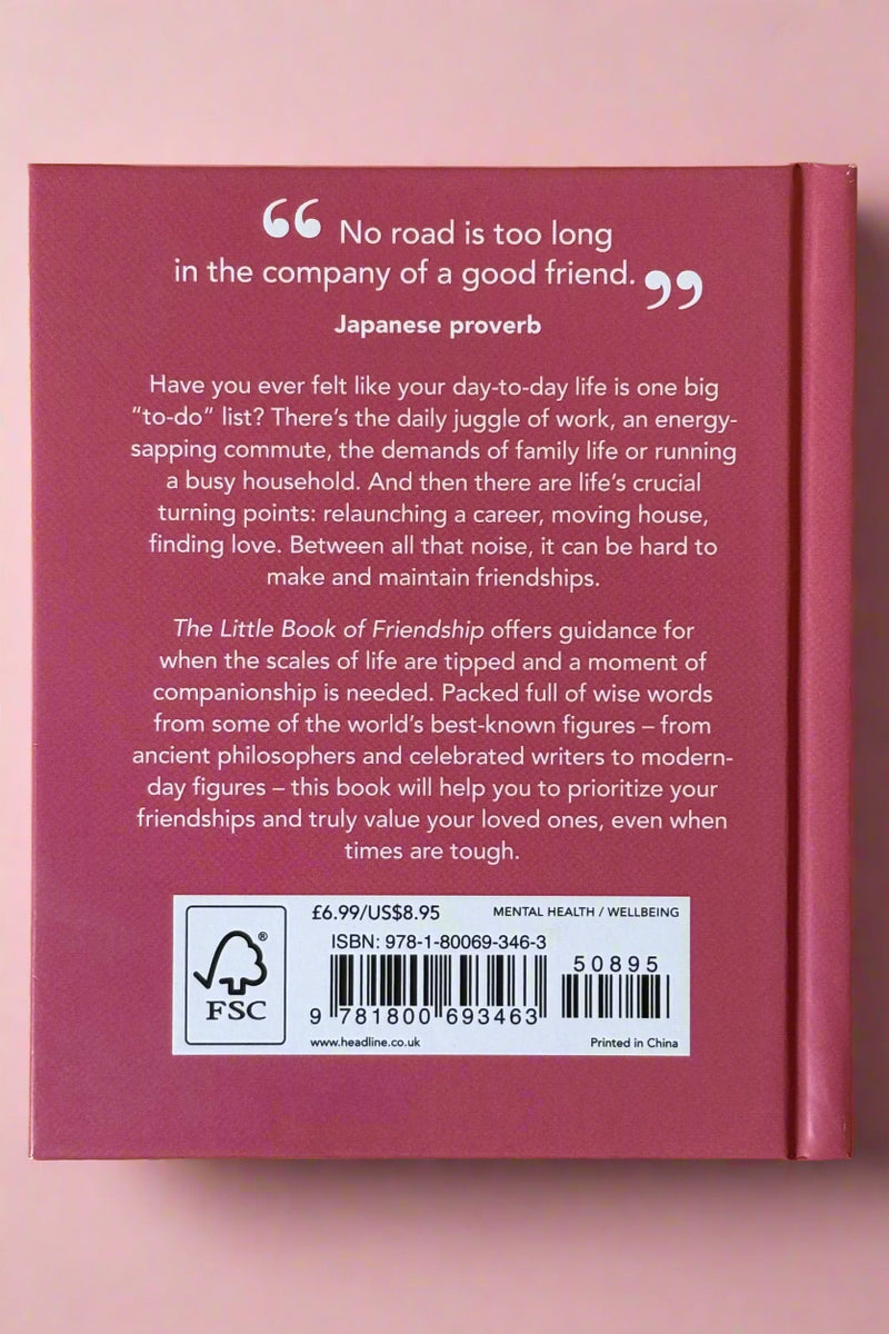 The Little Book of Friendship