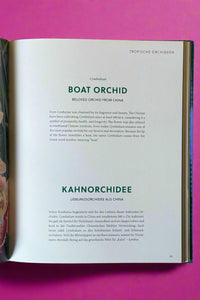 Orchids