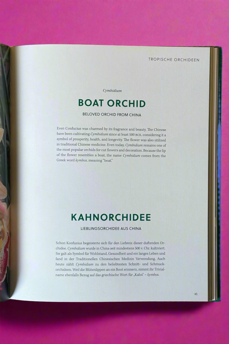 Orchids
