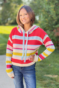 Multi Stripe Knit Hoodie Sweater