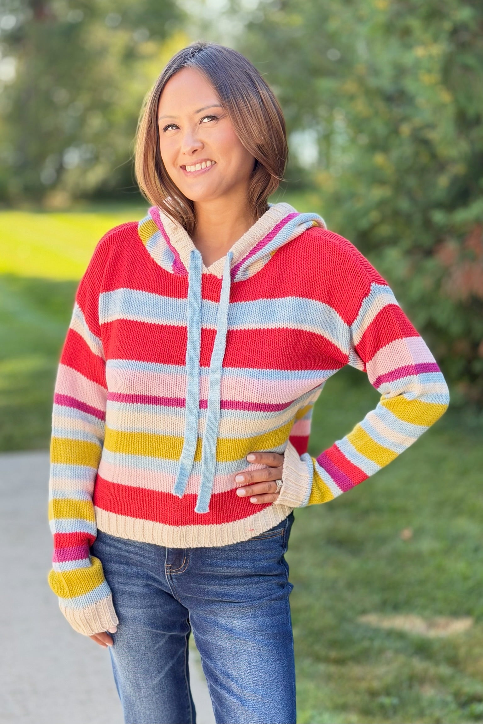 Multi Stripe Knit Hoodie Sweater