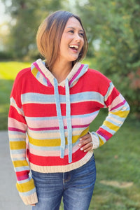 Multi Stripe Knit Hoodie Sweater
