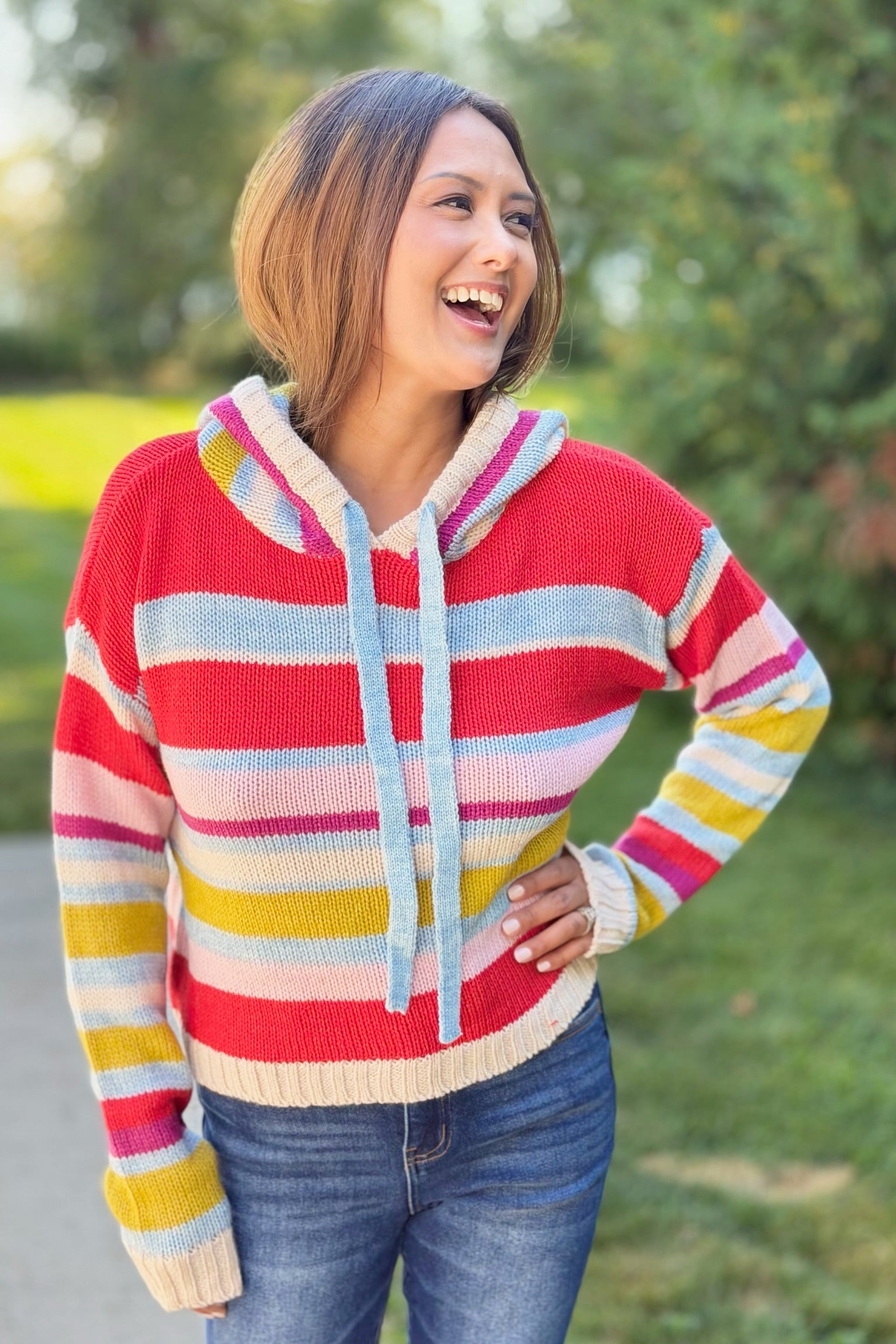 Multi Stripe Knit Hoodie Sweater