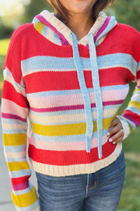 Multi Stripe Knit Hoodie Sweater