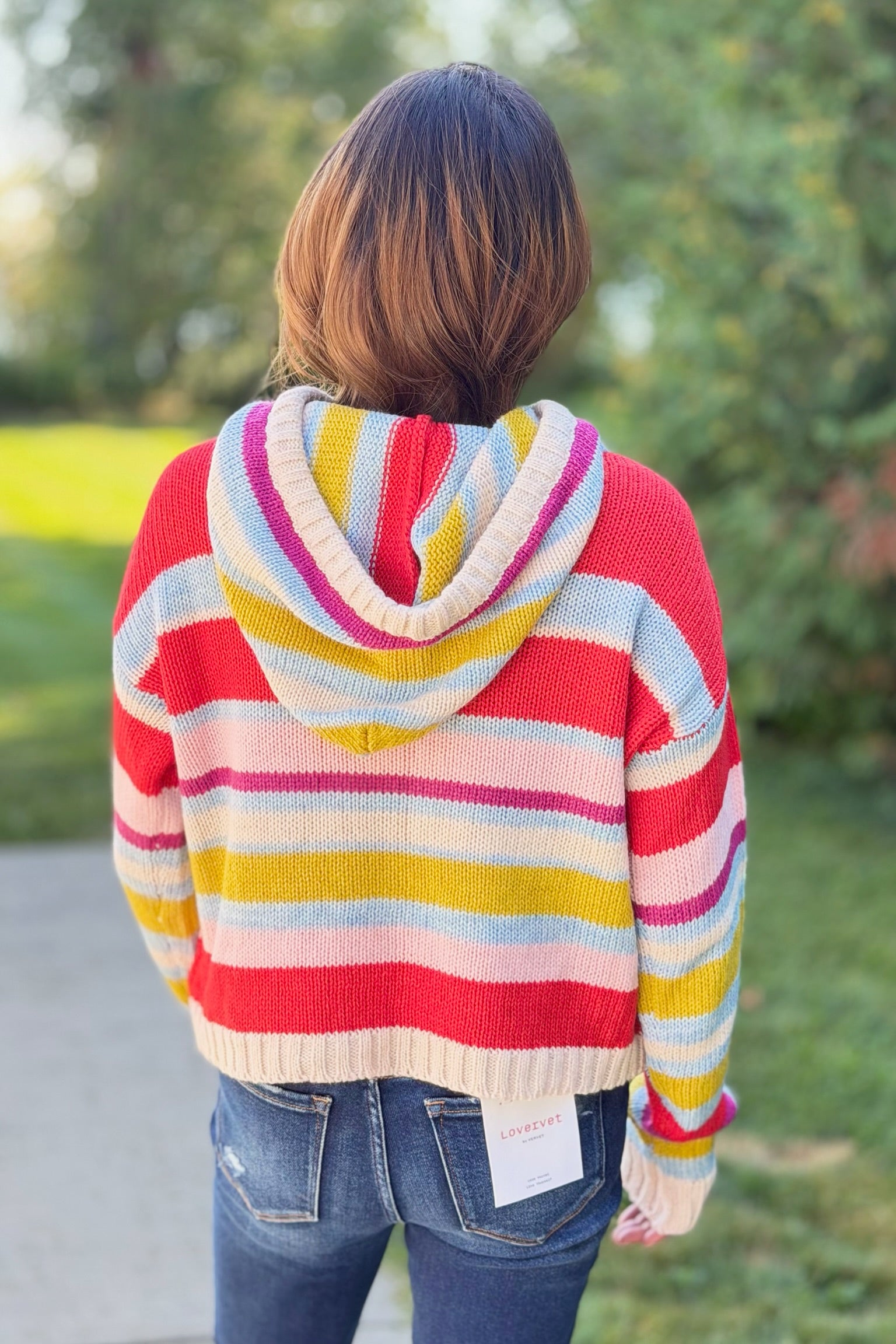 Multi Stripe Knit Hoodie Sweater