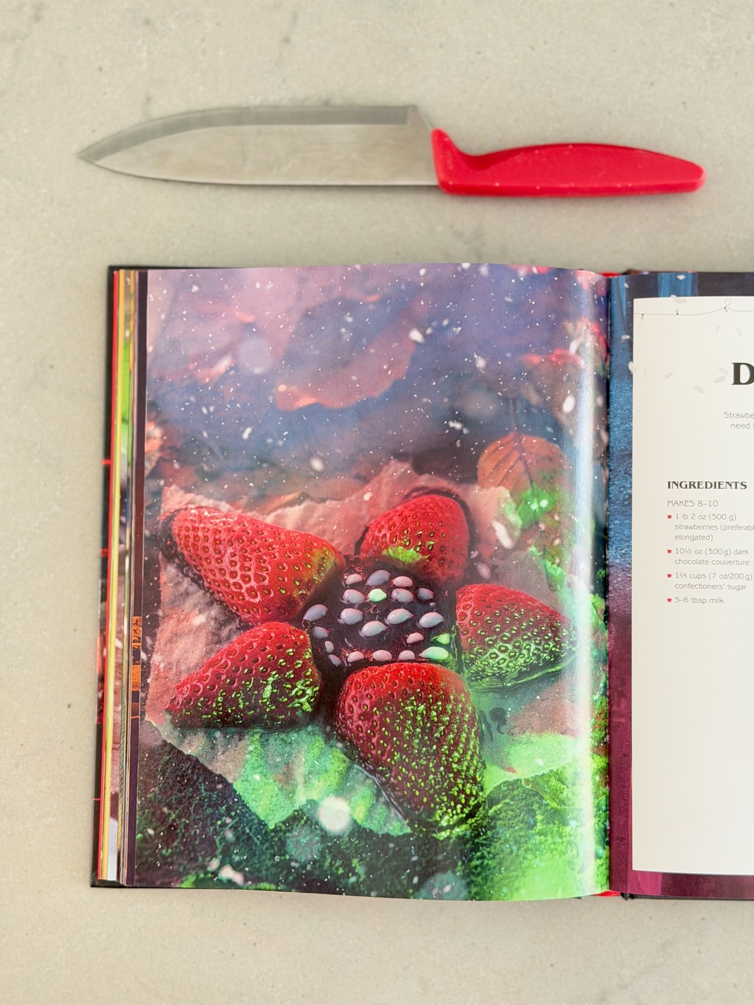 The Unofficial Stranger Things Cookbook