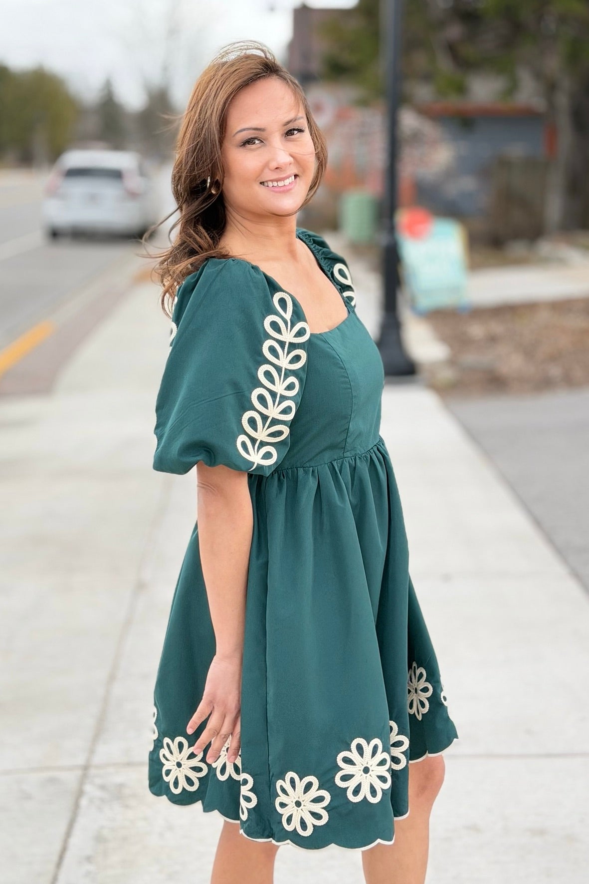 Embroidered Puff Sleeve Dress - Green