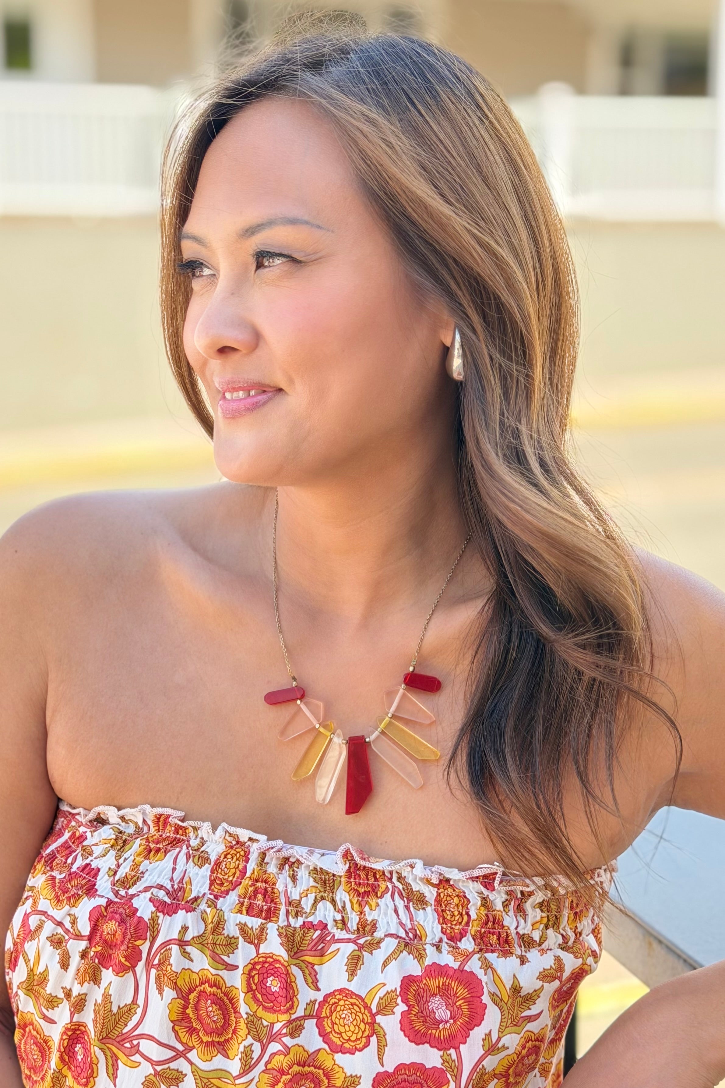 Multi Colored Transparent Necklace