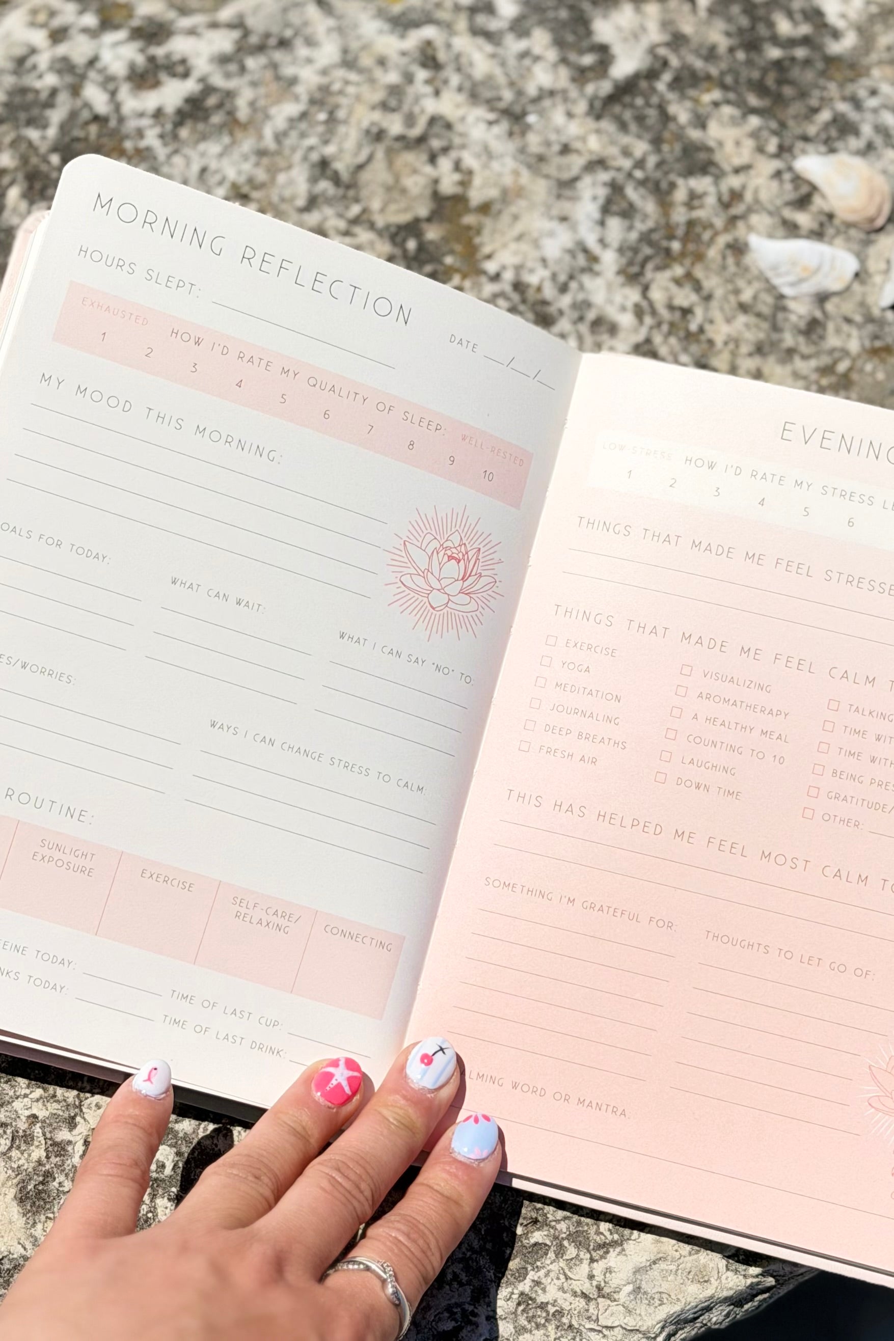 Calm: A Day and Night Reflection Journal