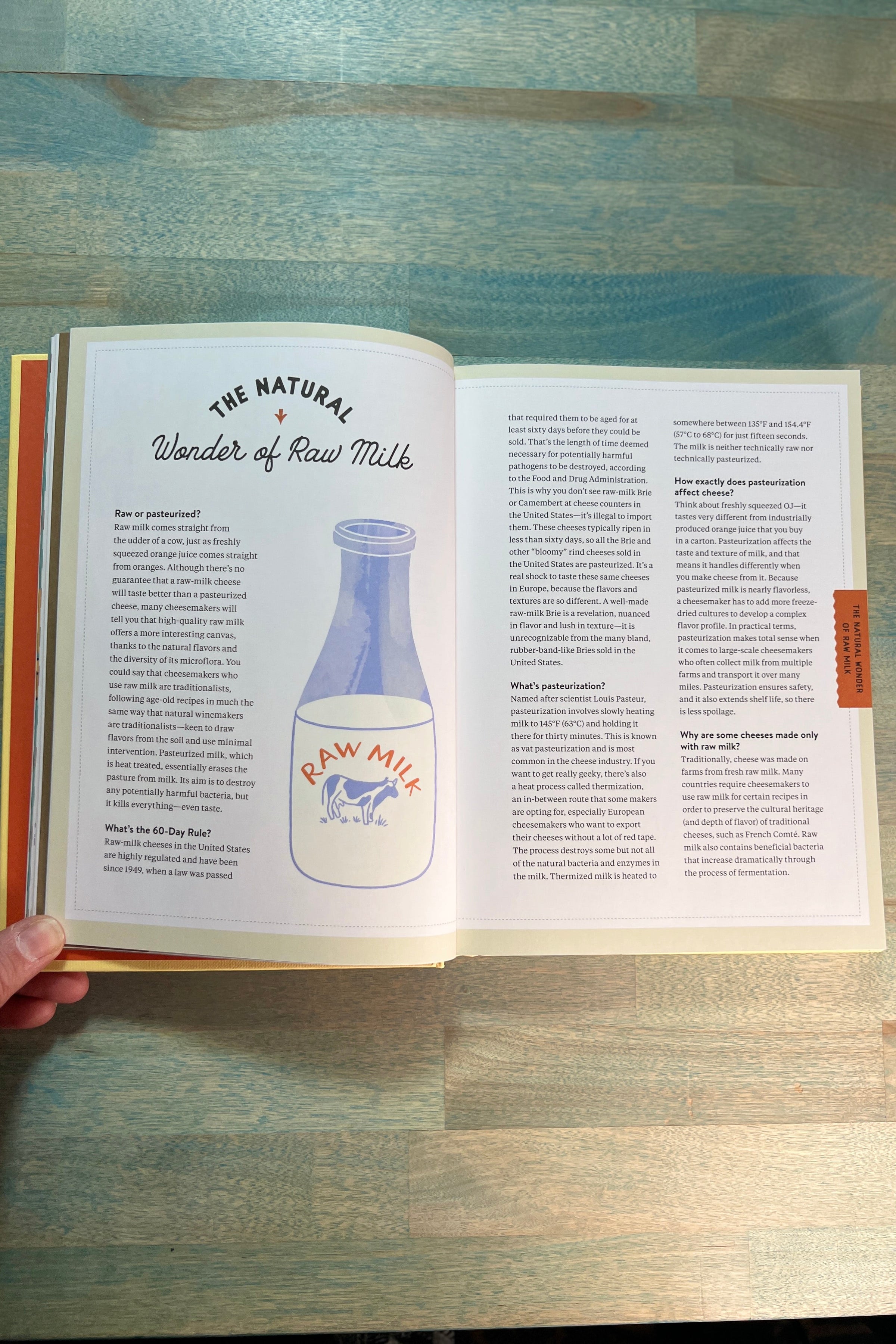 Madame Fromage's Adventures in Cheese