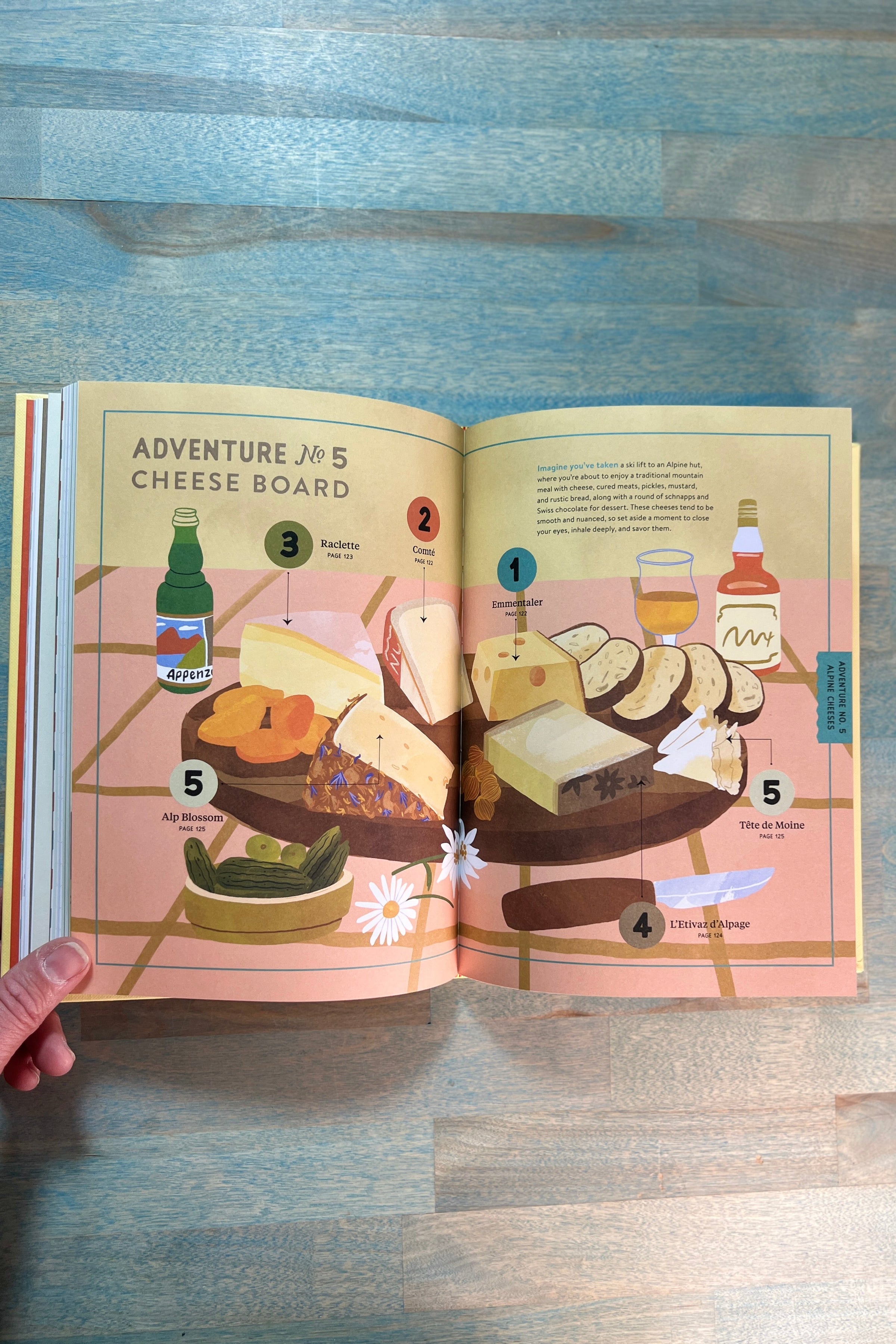 Madame Fromage's Adventures in Cheese