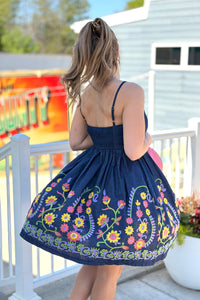 Embroidered Flare Denim Mini Dress