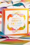 An origami shrimp kit, easy to use.