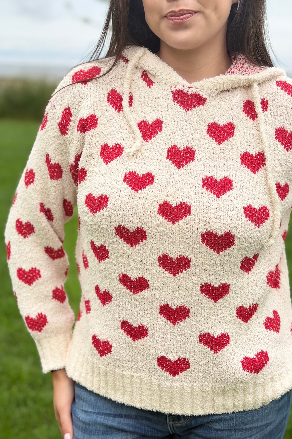 Heart Pattern Hoodie Sweater