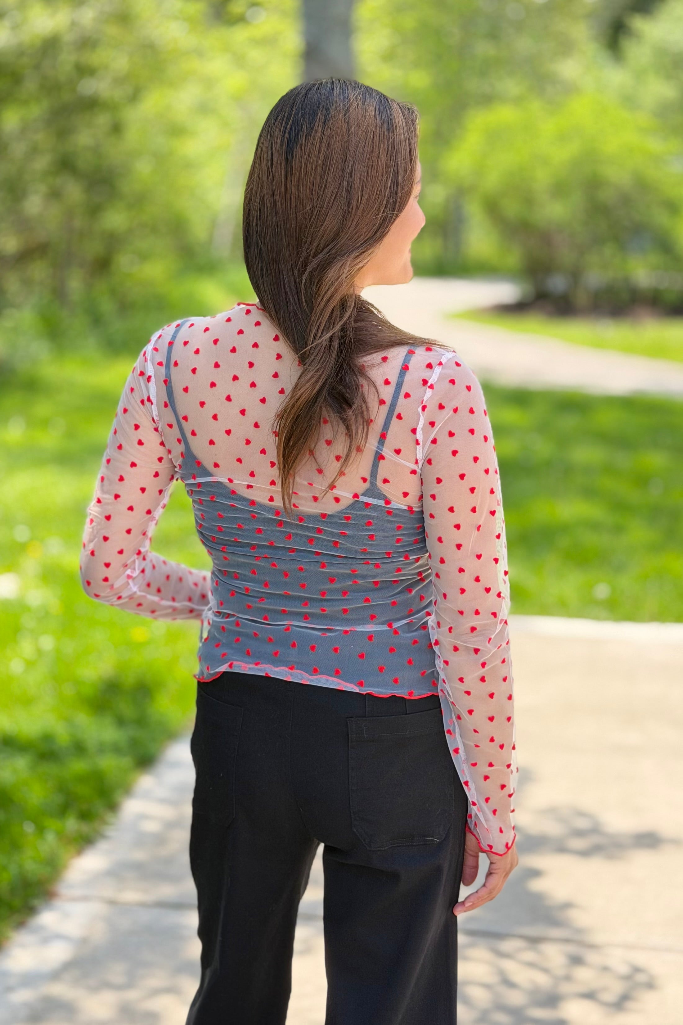 Sheer Mesh Heart Print Long Sleeve Top