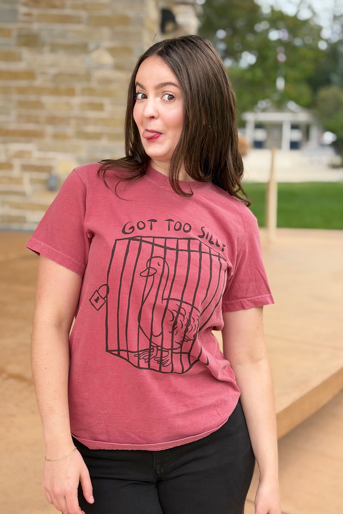 Got Too Silly Goose T-Shirt - Crimson