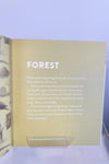 Curious Kids Nature Guide