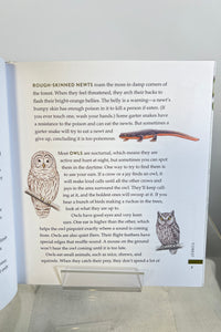 Curious Kids Nature Guide