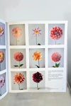 A Sweet Floral Life