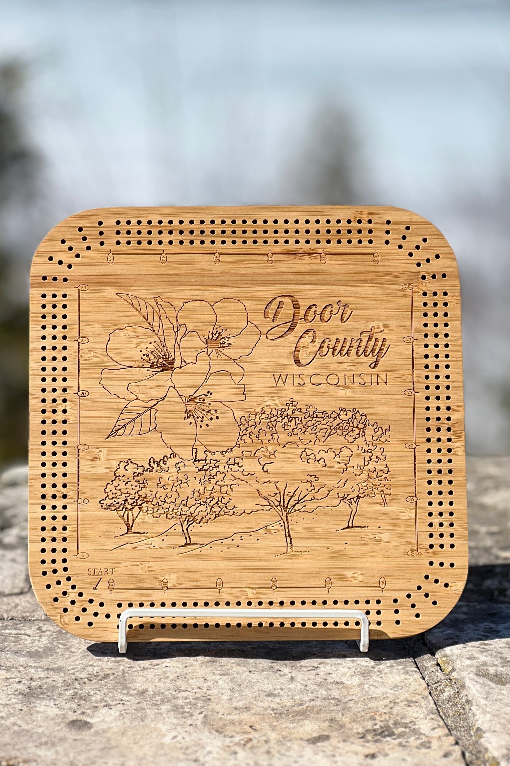 Cherry Blossom Cribbage Board Game