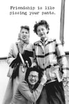 Funny - Friendship Is Like