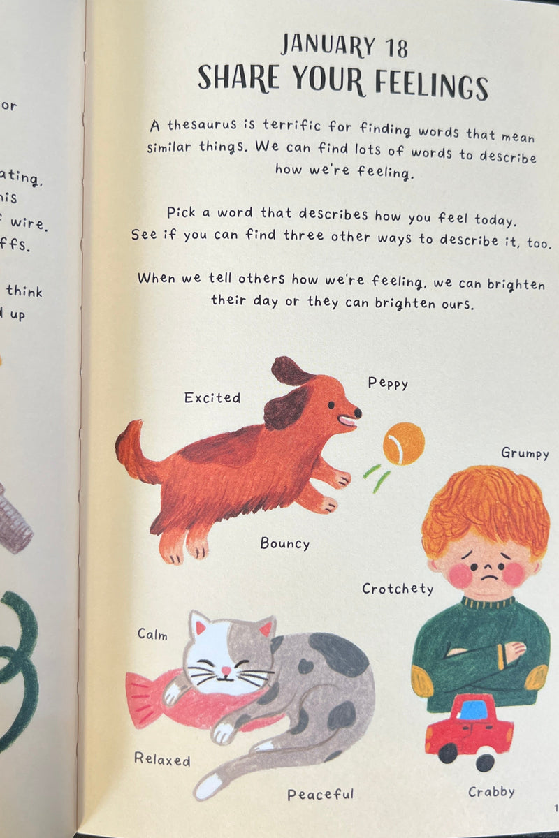 Little Book of Joy